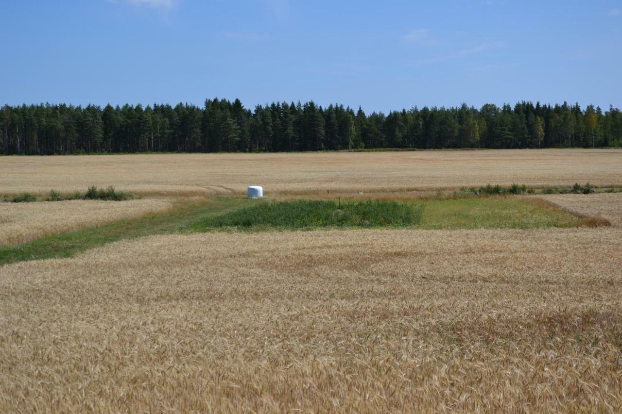 Valdersrud Stenröse Säffle Exterior foto